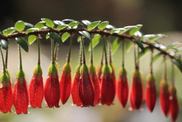 珠海香洲区私人快速借钱网，轻松解决资金难题