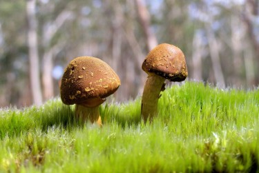 珠海香洲区私人老板放款：轻松融资的秘密通道